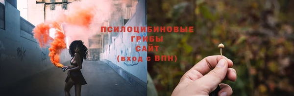 СК Алзамай